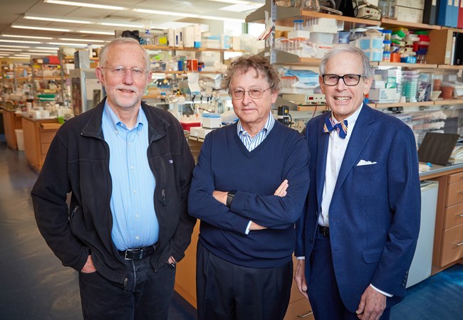SNF Institute for Global Infectious Disease Research established at The Rockefeller University